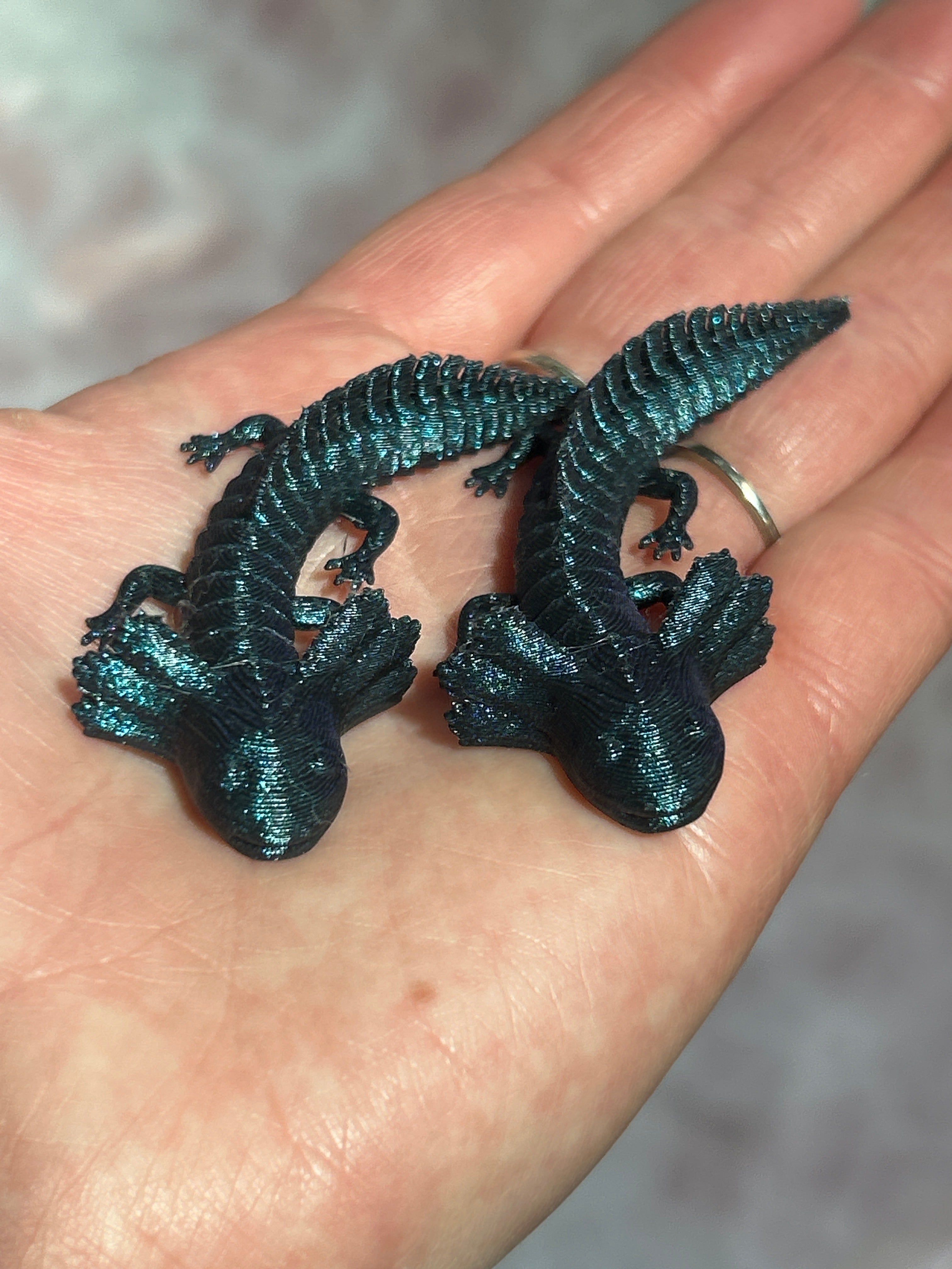 Small Axolotls Phoenix